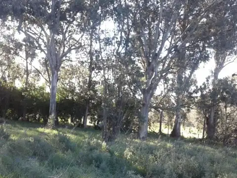 Terreno en Venta de 1589,0 m2