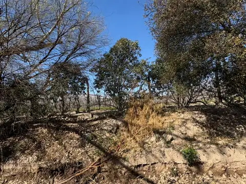 Campo en Venta de 12,08  ha