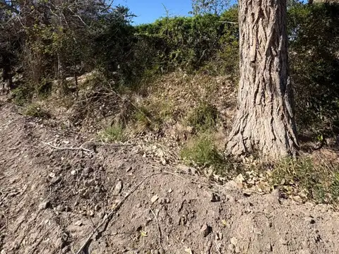 Campo en Venta Agrícola