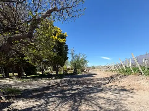Sarmiento 100