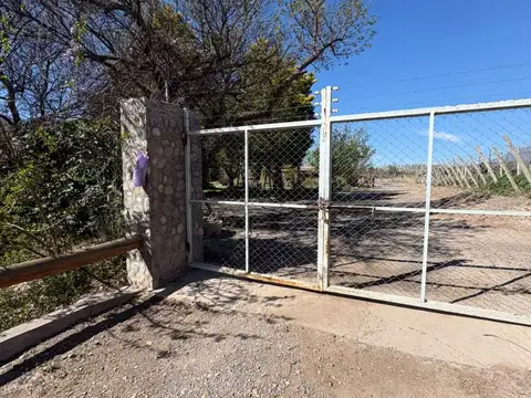 PROPIEDADES RURALES - AGRICOLA - ZONDA