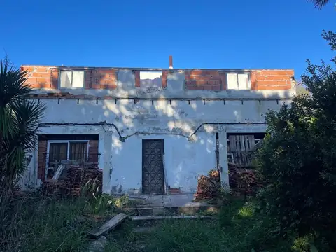 Hipocampo