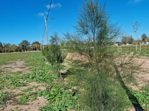 Terreno en Venta de 430,0 m2