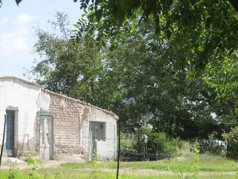 San Martín