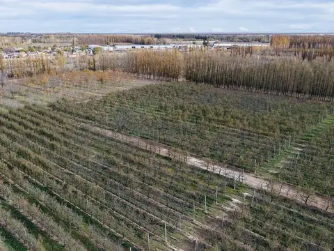 CHACRA PRODUCTIVA EN VENTA 29HA