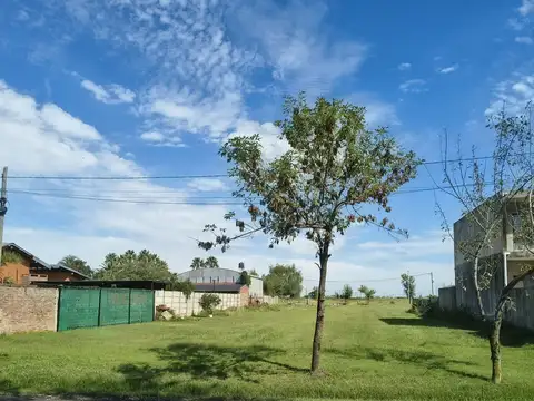 Terreno en Venta 45  mts Fondo