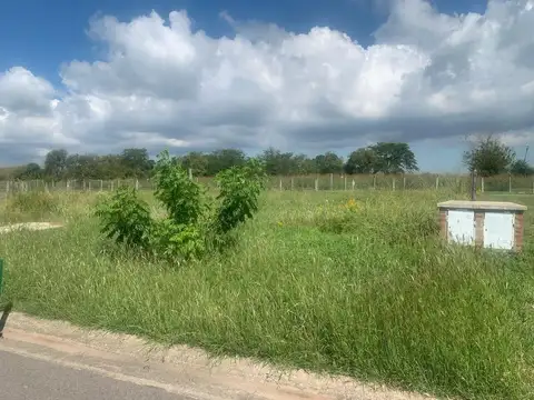 Terreno en Venta de 890,0 m2
