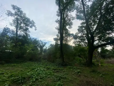 Quinta - Venta - Argentina, Lobos
