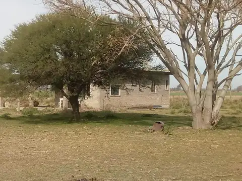 Campo en Oliveros