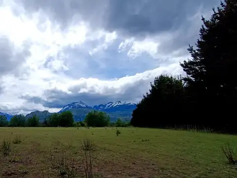 Campo Productivo en Venta ? 15 Hectáreas