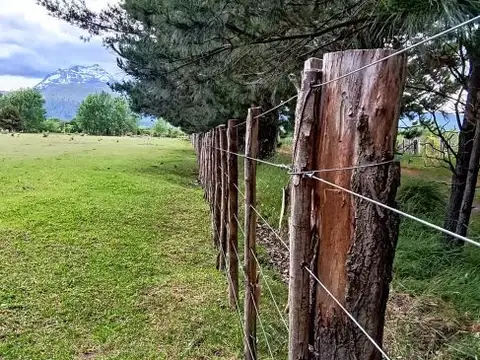 Campo Productivo en Venta ? 15 Hectáreas
