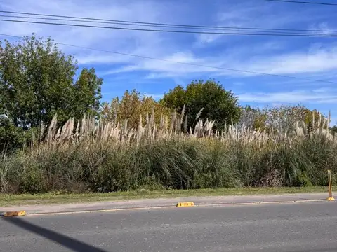 Terreno en Venta de 72600,0 m2
