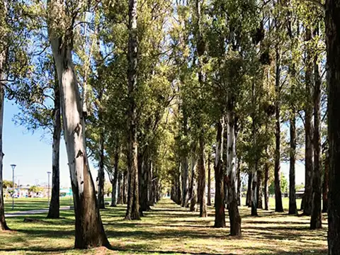 Terreno en Venta en General Lagos, USD 39.846