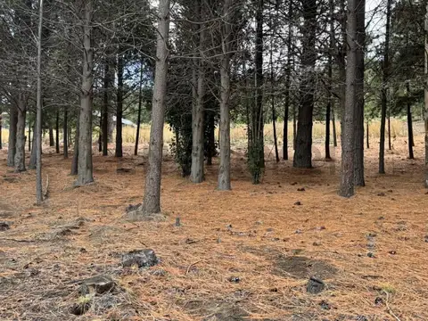 VENTA LOTE SAN MARTIN DE LOS ANDES . CHAPELCO GOLF .