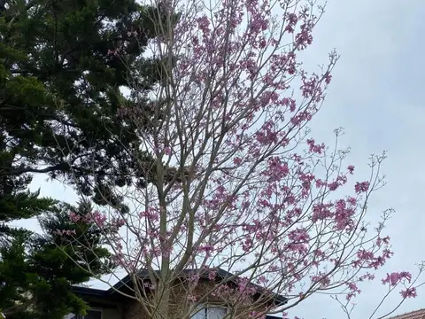 Excelente Propiedad a la Venta - Nautico Escobar cc