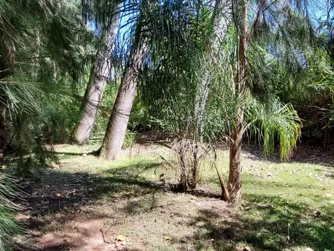 Terreno en Venta en Arroyo Carapachay, USD 65.000