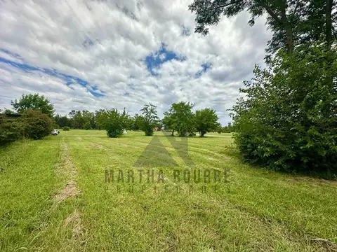 Terreno Lote  en Venta en Pinares CC, Exaltación de la Cruz, G.B.A. Zona Norte