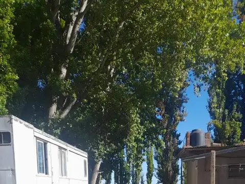 En Venta, Chacras Productivas de 34 Ha, Entre Lamarque y Pomona.