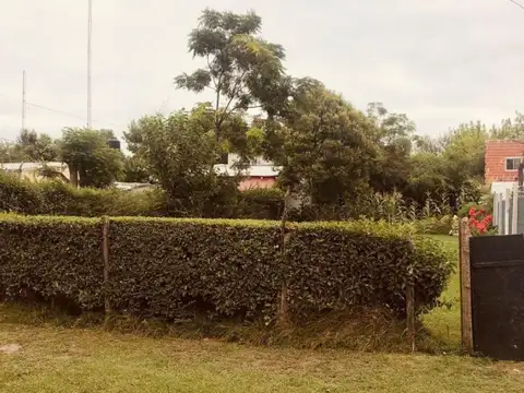 Ayolas 500