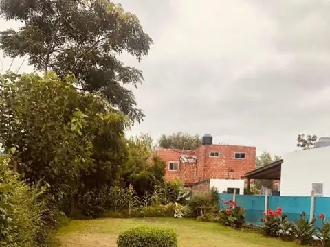 Ayolas 500