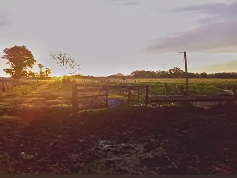 31,12 HECTAREAS EN VENTA Y POSIBILIDAD TOMAR MTS O PERMUTA.