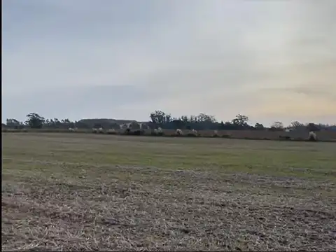 Campo en Barrio Batan