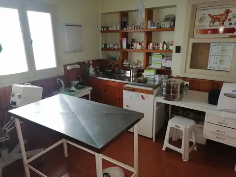 Local en Alquiler en San Martín de los Andes, $ 100