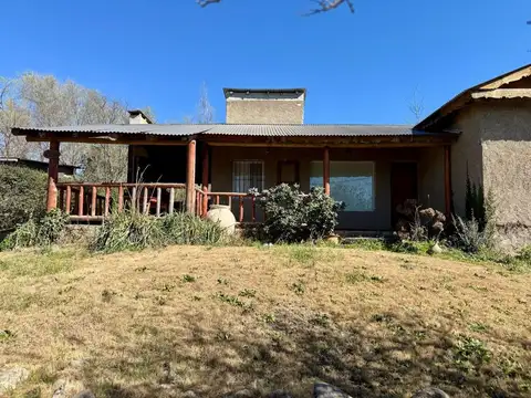 mendoza 100