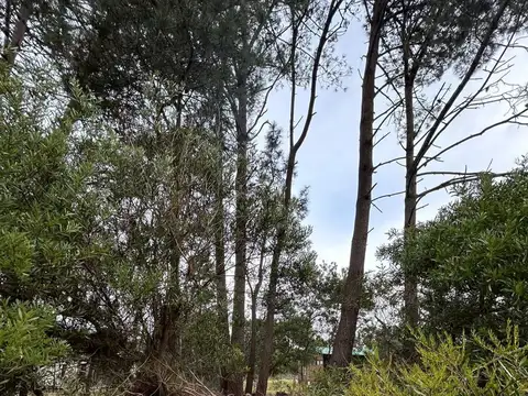 VENTA TERRENO SANTA ANA 480 MTS