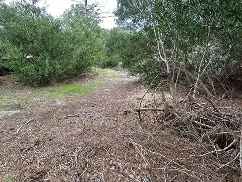 Terreno en Venta de 480,0 m2