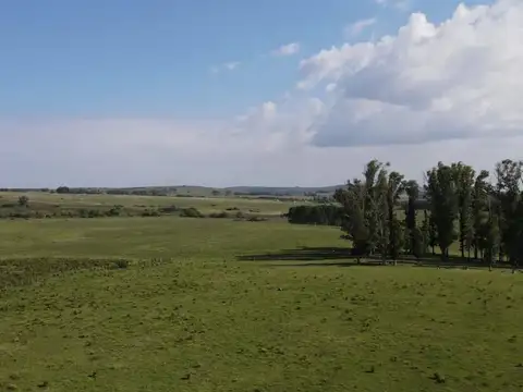 ruta 12 km 15