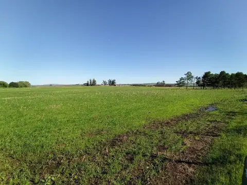 ruta 12 km 15