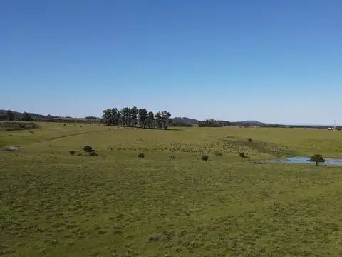 Quinta - Venta - Uruguay, Maldonado