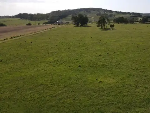 ruta 12 km 15