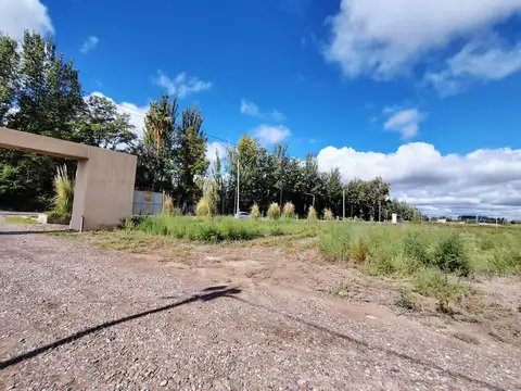 TIERRAS DE TRAPANI, CARRIL MONTECASEROS S/N