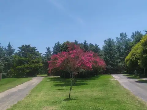 Terreno en Venta en Pueblo Esther, USD 85.000