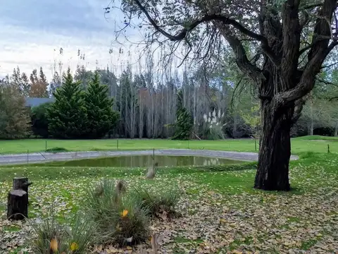 Terreno en Venta 20  mts Frente