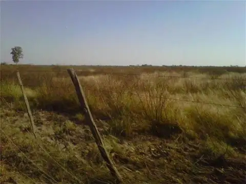 Campo ganadero 1.984 has.