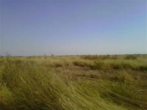 CONFIDENCIAL - CI32907