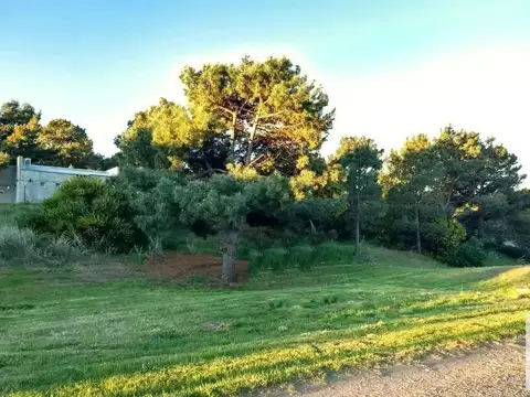 Avenida Guillermo Sansot e/ Los Zorzales y Las Urracas