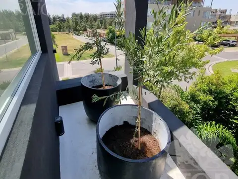 Casa en Alquiler 3 años