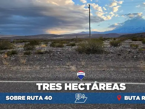 VENTA 2,4980 HECTÁREAS SOBRE RUTA 40 BUTA RAQUIL