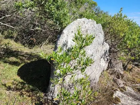 Quinta - Venta - Uruguay, GARZON