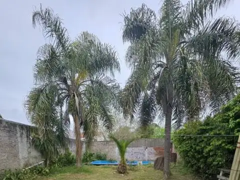 Terreno en Venta 47  mts Fondo