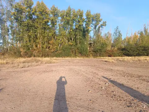 Acceso este y Elpidio González