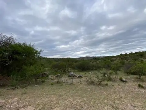 VENTA TERRENOS EN FLOR SERRANA
