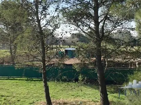 Ruta 205 Km, La Unión, Lomas Athletic 36.5