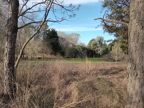 Terreno en Venta 142  mts Fondo