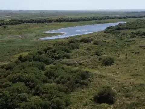 Isla ganadera frente a la ciudad de san lorenzo