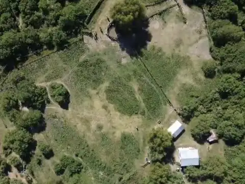 Isla ganadera frente a la ciudad de san lorenzo